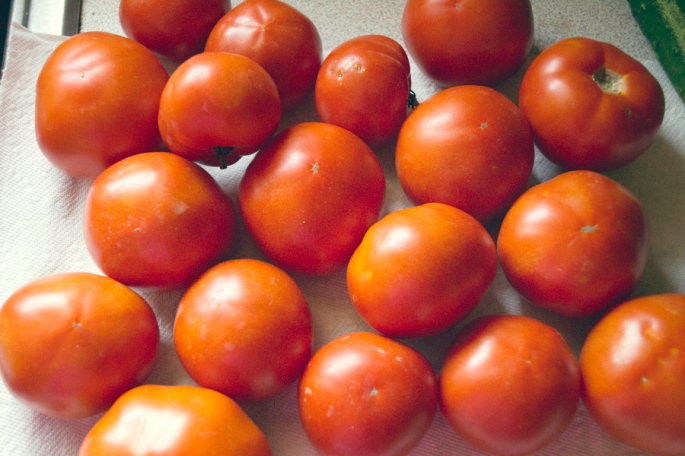 Tomatoes for salsa